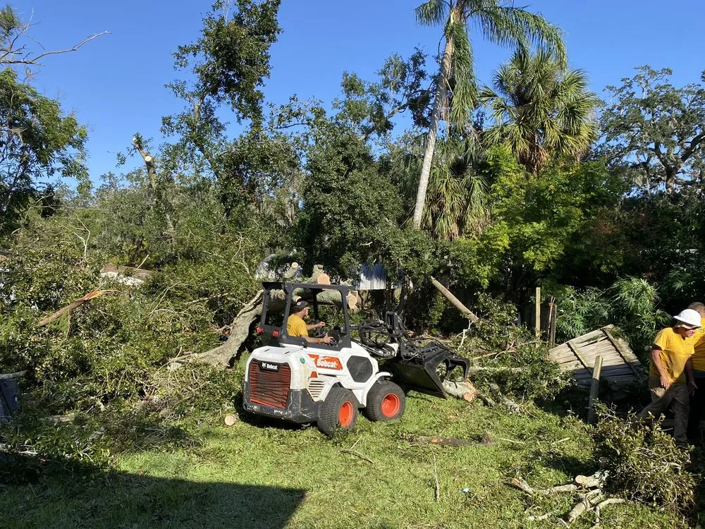 Expert garden landscaping experts serving Holiday, FL - Morris Tree Service