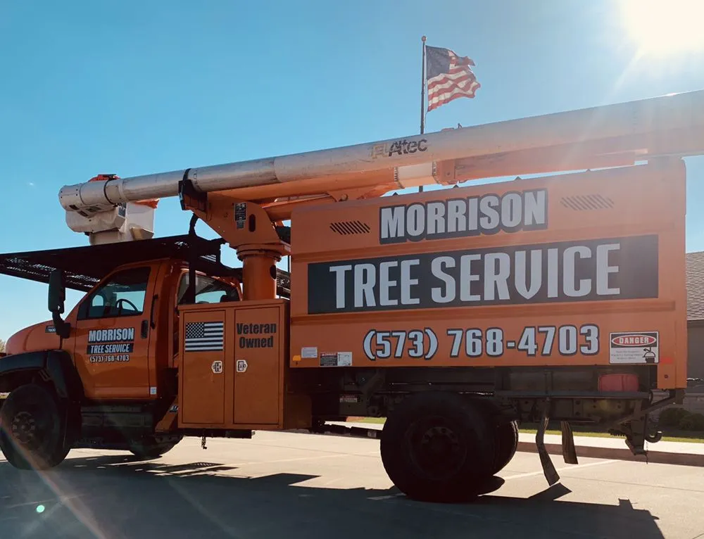 Professional landscape installation experts serving Perryville, MO - Morrison Landscaping & Tree Service