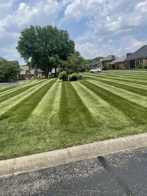 Morrison Lawn Care Logo