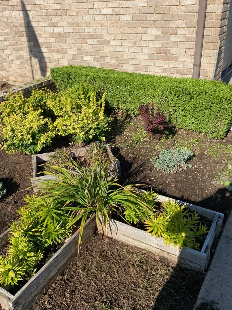 Affordable lawn care service in Lawton, OK by Morrison Lawn Care