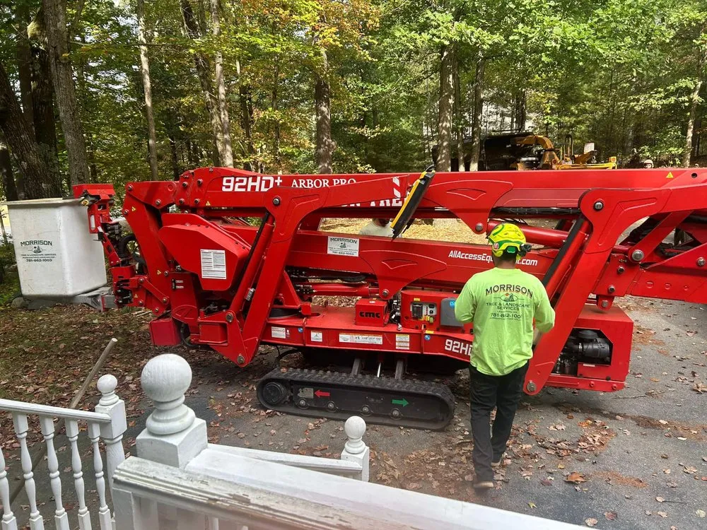 Top-rated yard maintenance in Townsend, MA by Morrison Tree & Landscape Services