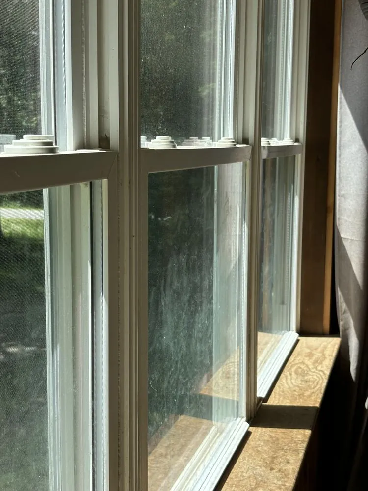 Expert garden landscaping for year-round maintenance in Wesley Chapel, FL by Morrison's Home and Business Services