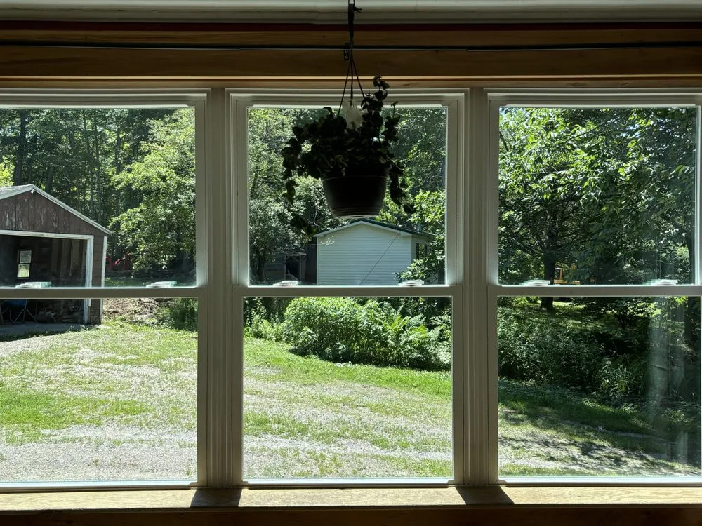 Professional landscape design in Wesley Chapel, FL - Morrison's Home and Business Services