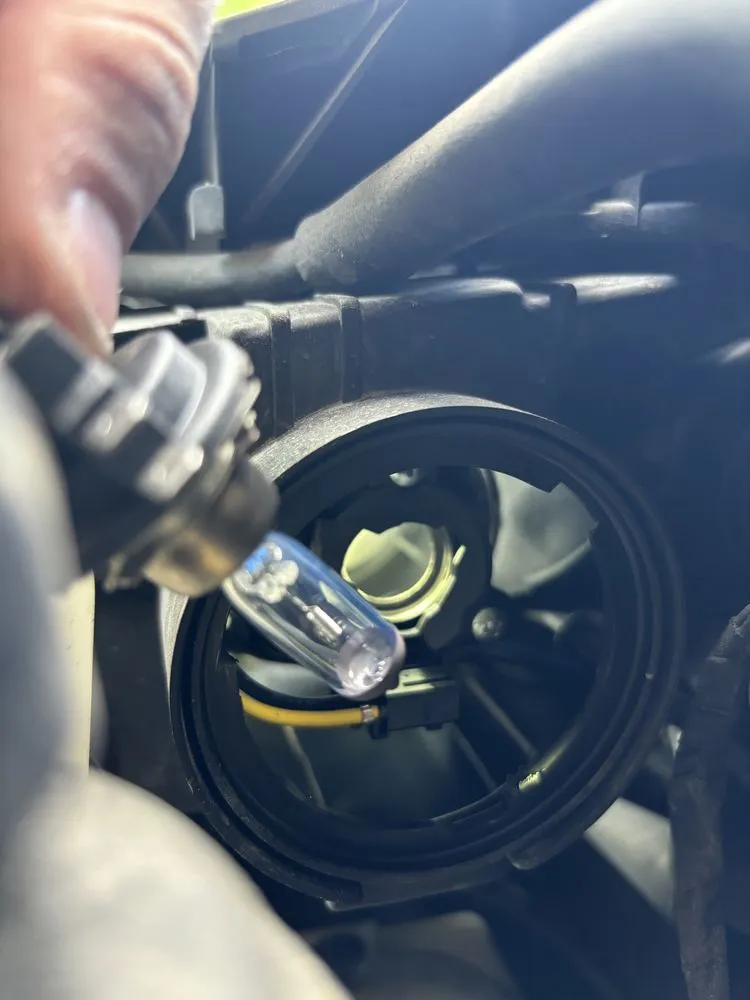 Reliable lawn mowing service experts serving Wesley Chapel, FL - Morrison's Home and Business Services