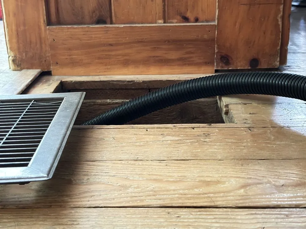 Professional outdoor landscaping in Wesley Chapel, FL - Morrison's Home and Business Services