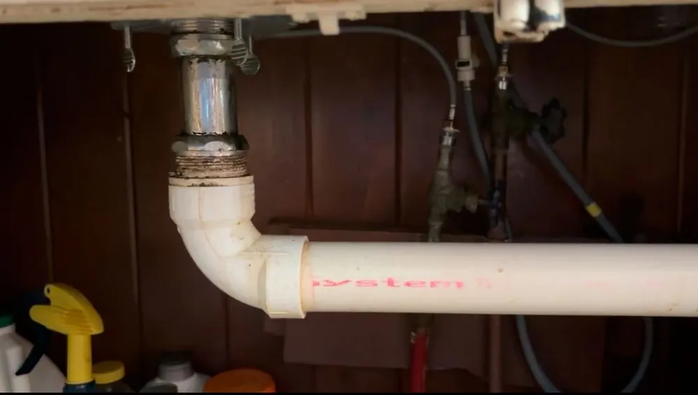 Affordable yard cleanup service for year-round maintenance across Wesley Chapel, FL - Morrison's Home and Business Services