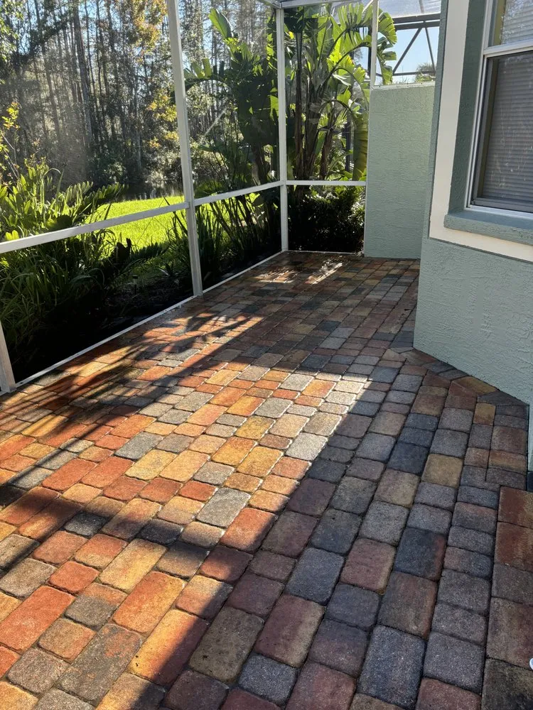 Professional yard maintenance for residential properties in Wesley Chapel, FL by Morrison's Home and Business Services