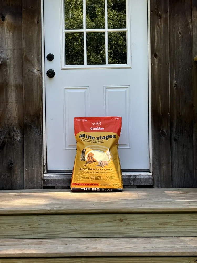 Local landscape design in Wesley Chapel, FL by Morrison's Home and Business Services