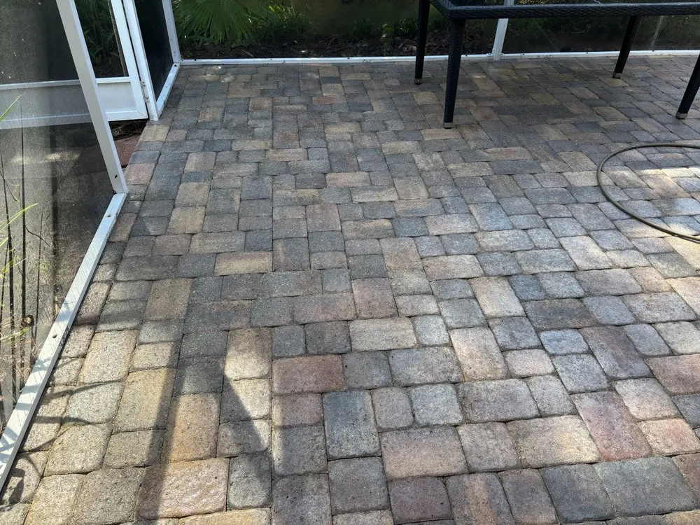 Reliable lawn care service experts serving Wesley Chapel, FL - Morrison's Home and Business Services