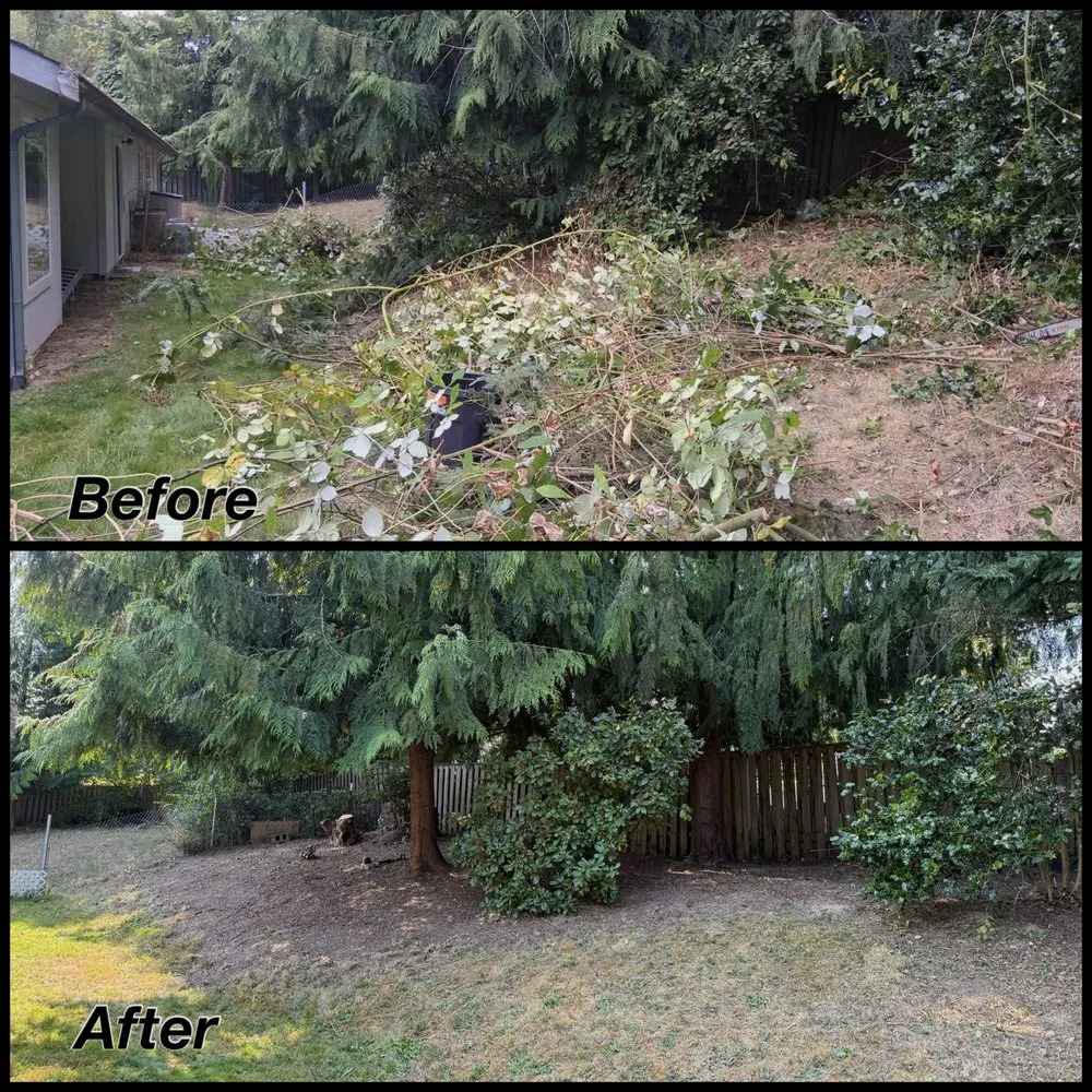 Custom outdoor landscaping experts serving Quilcene, WA - Morrison’s Landworks