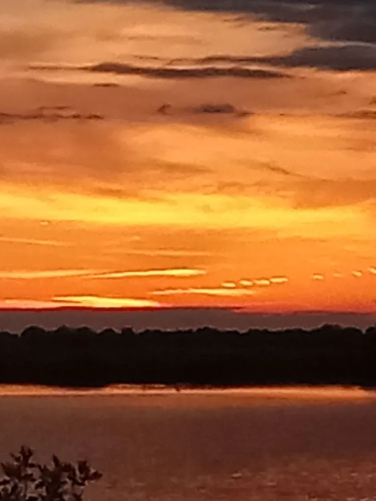 Local lawn care service in South Rockwood, MI - Morris's Best Deal Curb Appeal