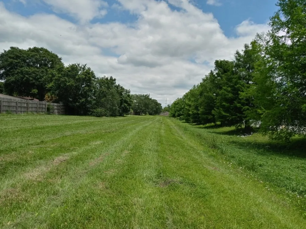 Reliable yard cleanup service for year-round maintenance in Gulfport, MS by Morrissette's Custom Concepts