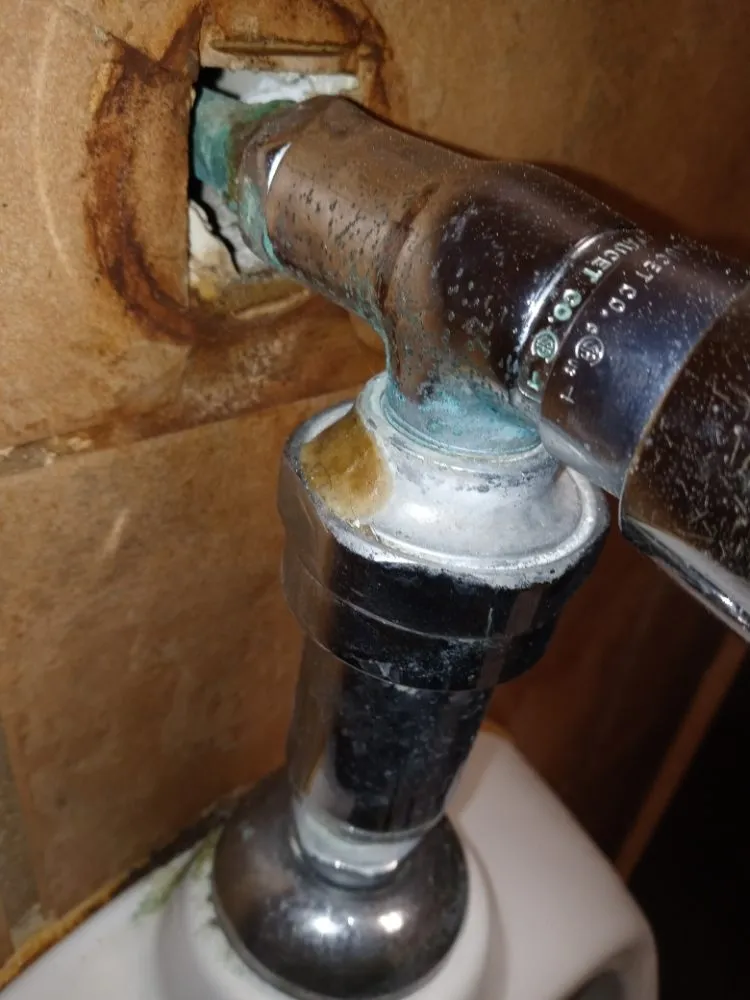 Affordable yard cleanup service in Gulfport, MS - Morrissette's Custom Concepts