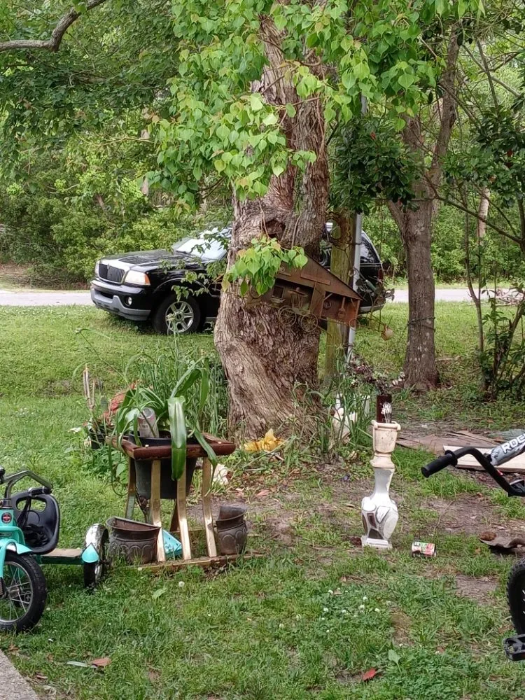 Professional landscape design in Gulfport, MS by Morrissette's Custom Concepts