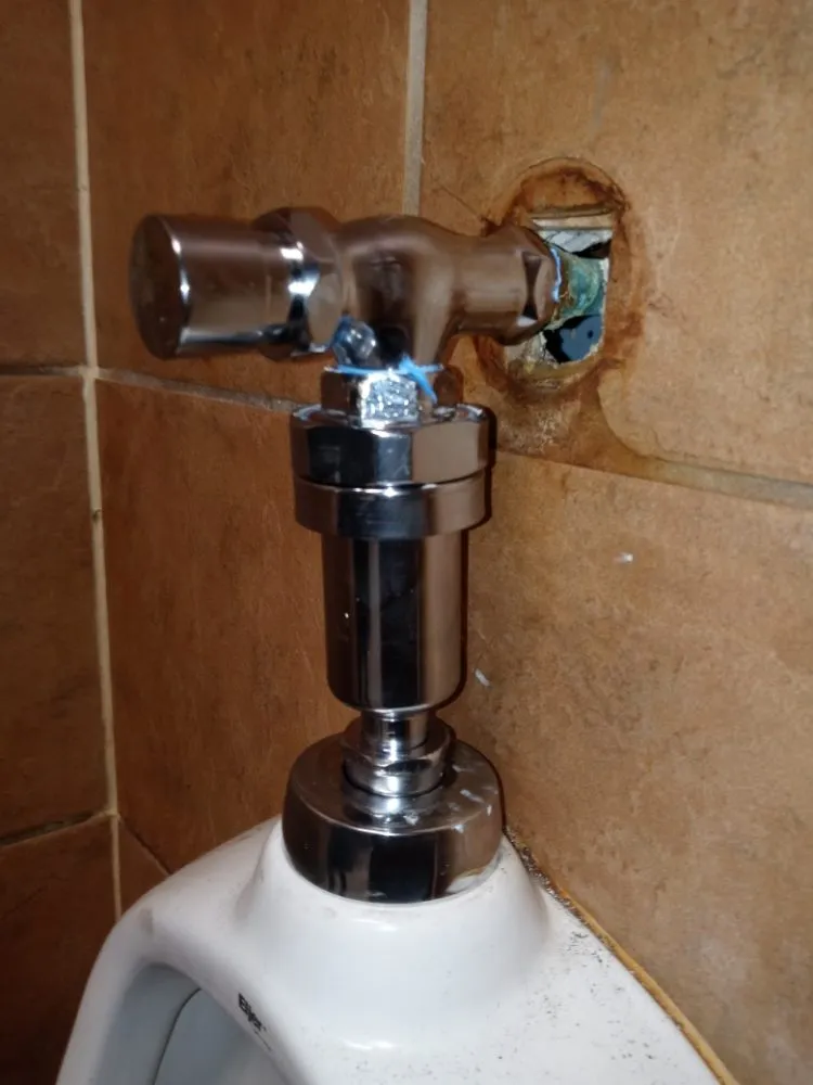 Top-rated garden landscaping in Gulfport, MS by Morrissette's Custom Concepts