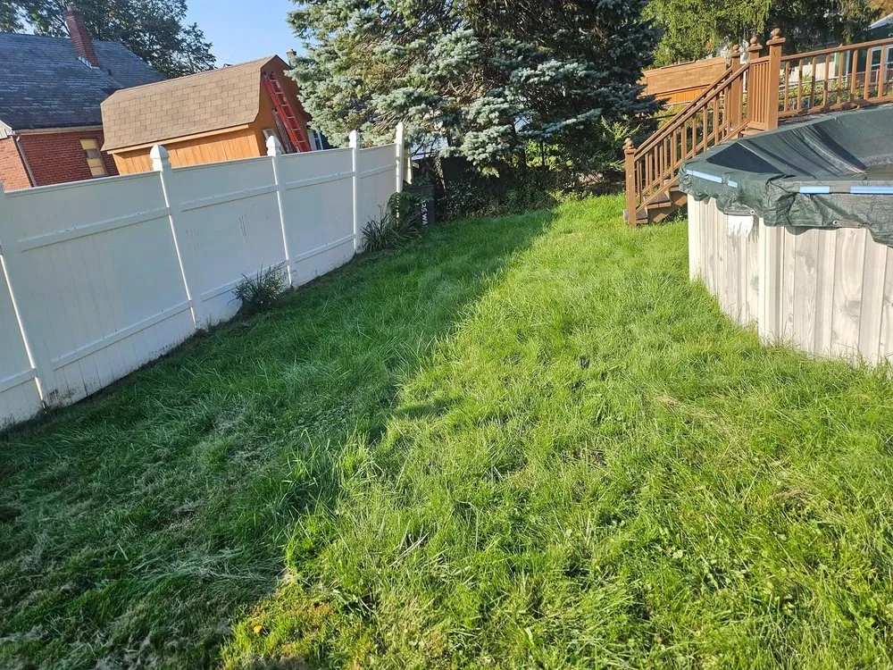 Local yard maintenance in Lockport, NY by Morrissey Property & Outdoor Services