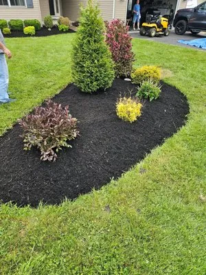 Morrissey Property & Outdoor Services Logo