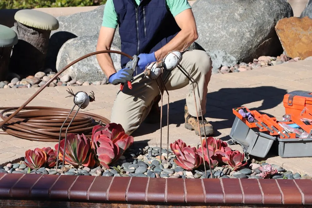 Reliable landscape design for year-round maintenance in El Cajon, CA by Morrow Landscaping & Irrigation