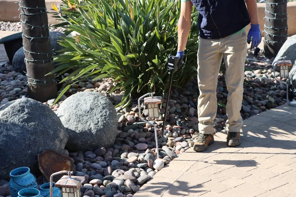 Expert yard maintenance in El Cajon, CA by Morrow Landscaping & Irrigation