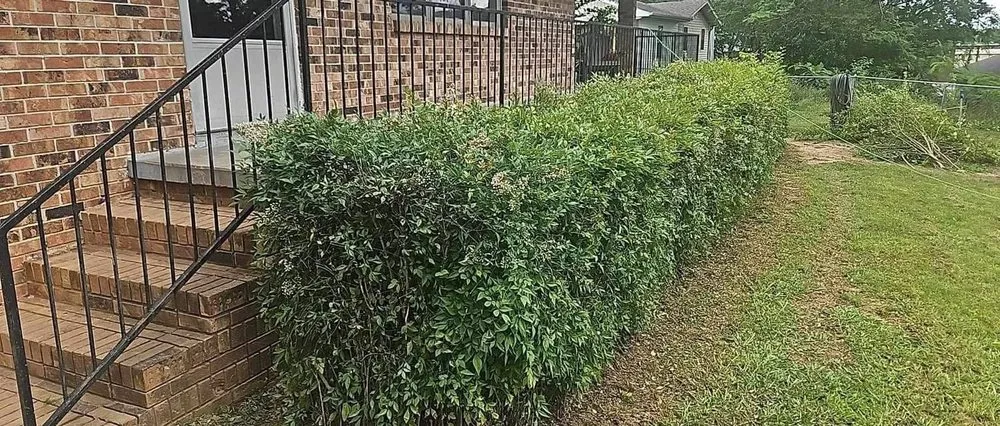 Affordable lawn care service in Perryville, AR by Morrow Mowing & Lawn Care