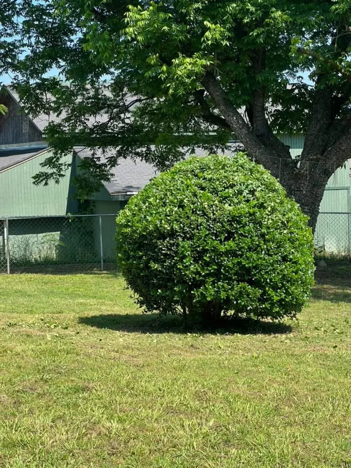 Custom residential landscaping for outdoor upgrades in Perryville, AR by Morrow Mowing & Lawn Care