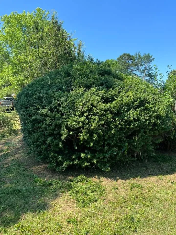 Reliable residential landscaping in Perryville, AR by Morrow Mowing & Lawn Care