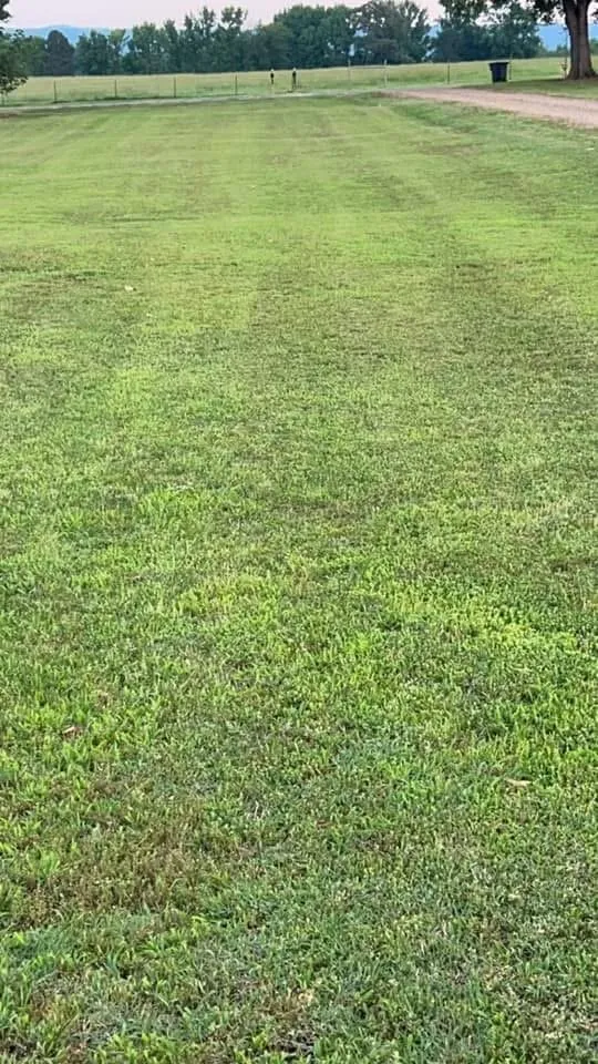 Affordable landscape design in Perryville, AR by Morrow Mowing & Lawn Care