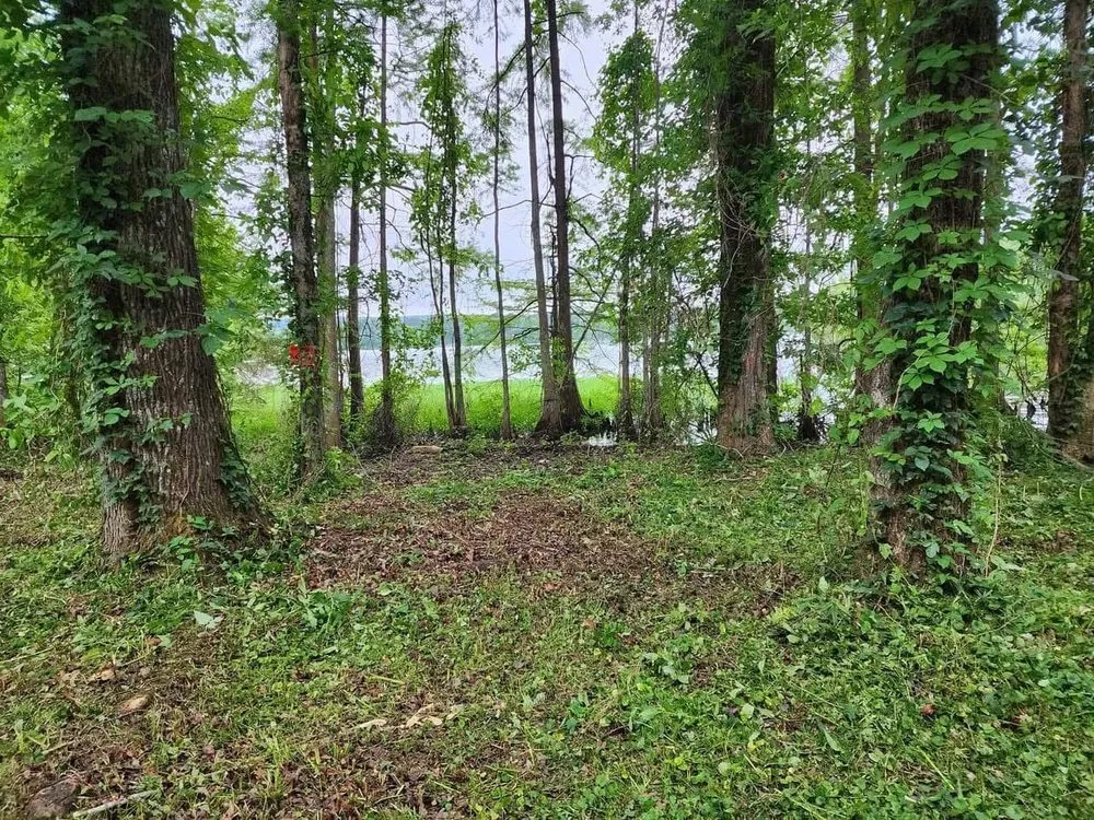 Affordable lawn mowing service experts serving Perryville, AR - Morrow Mowing & Lawn Care