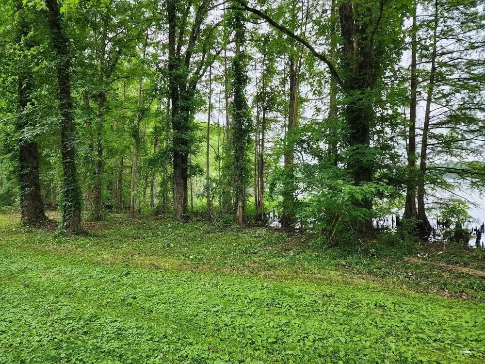 Top-rated landscape installation for year-round maintenance across Perryville, AR - Morrow Mowing & Lawn Care