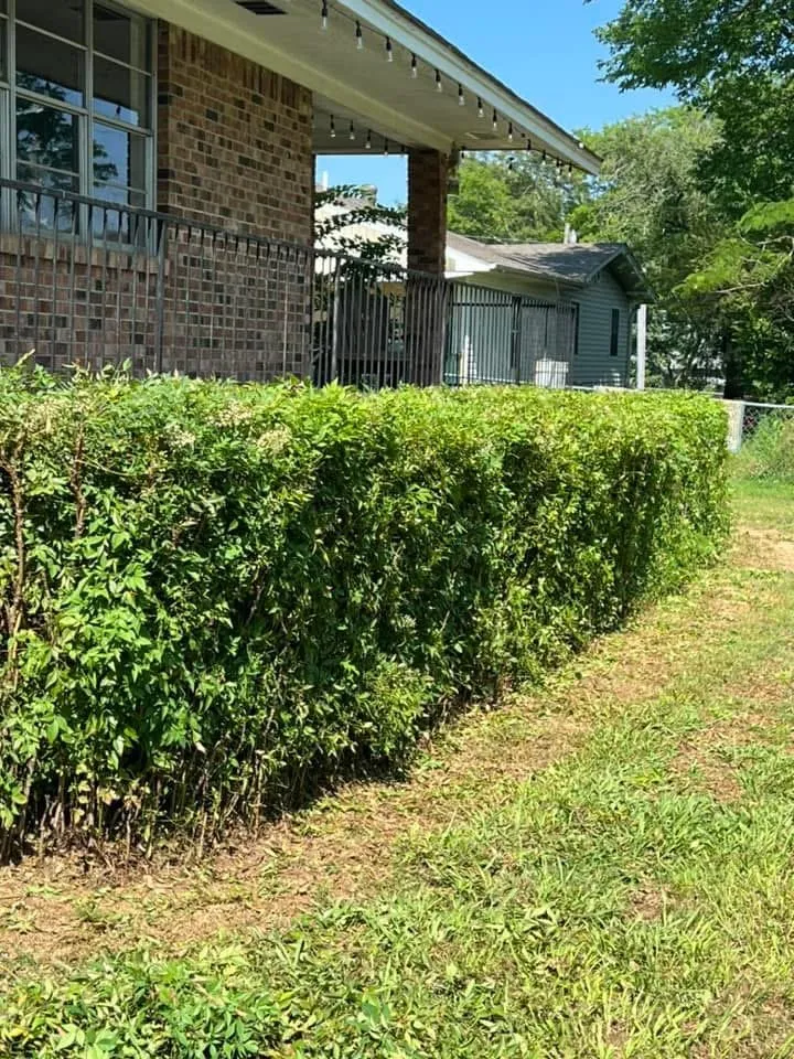 Reliable landscape installation in Perryville, AR - Morrow Mowing & Lawn Care