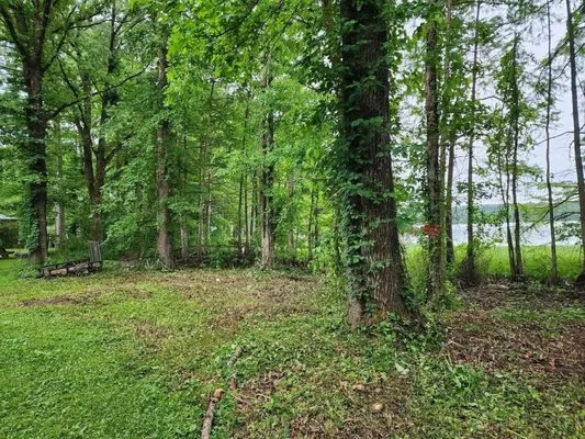 Morrow Mowing & Lawn Care