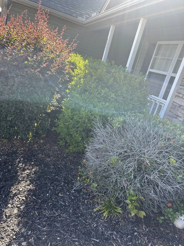 Trusted landscaping services experts serving Spartanburg, SC - Morrow’s Lawn Services