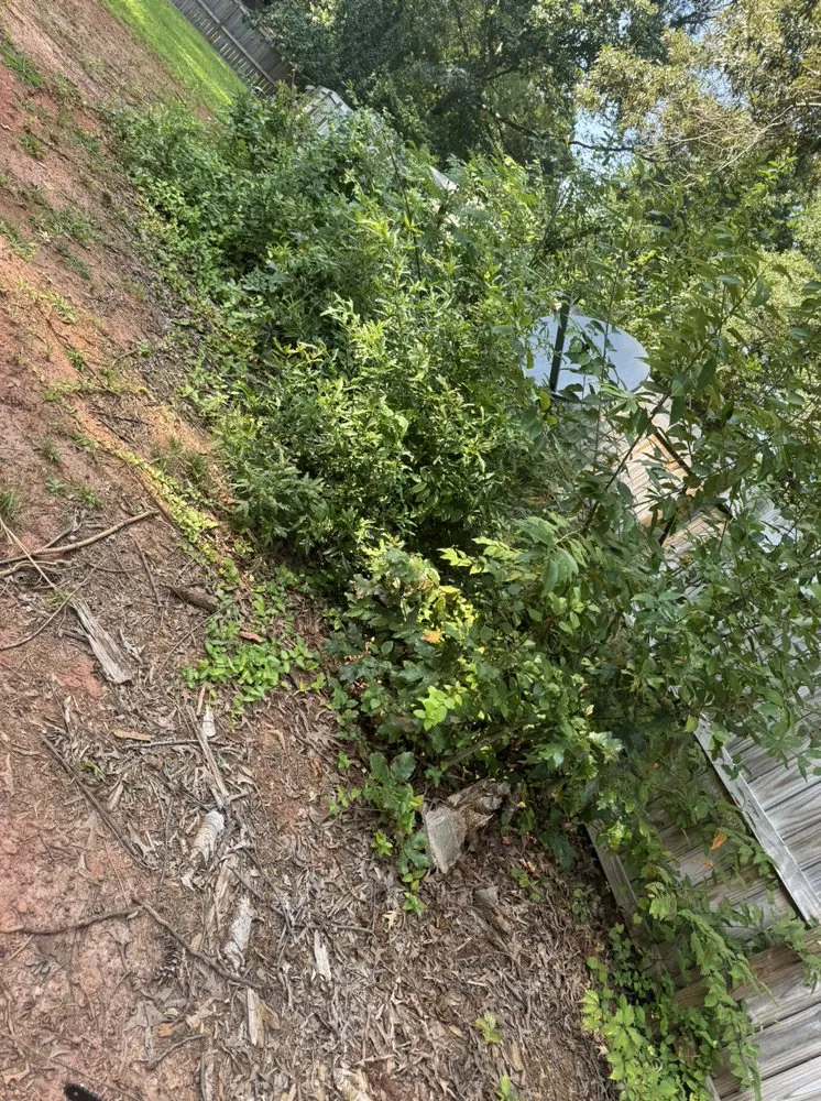 Expert lawn mowing service with custom design in Spartanburg, SC by Morrow’s Lawn Services