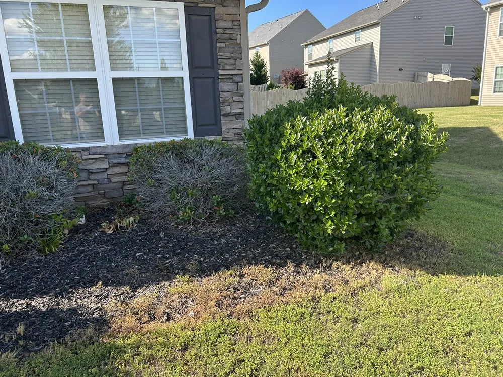 Trusted lawn care service experts serving Spartanburg, SC - Morrow’s Lawn Services