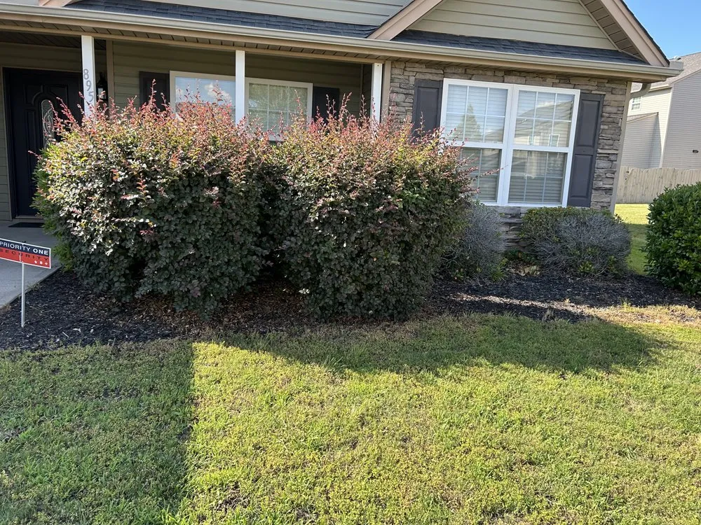 Local outdoor landscaping for beautiful yards across Spartanburg, SC - Morrow’s Lawn Services