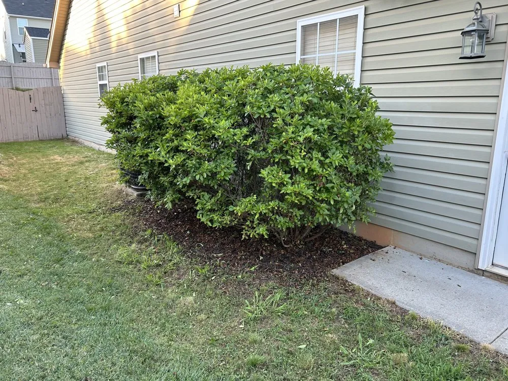 Expert landscape design near you in Spartanburg, SC by Morrow’s Lawn Services