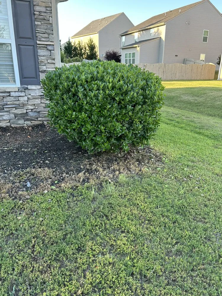 Expert garden landscaping for year-round maintenance across Spartanburg, SC - Morrow’s Lawn Services