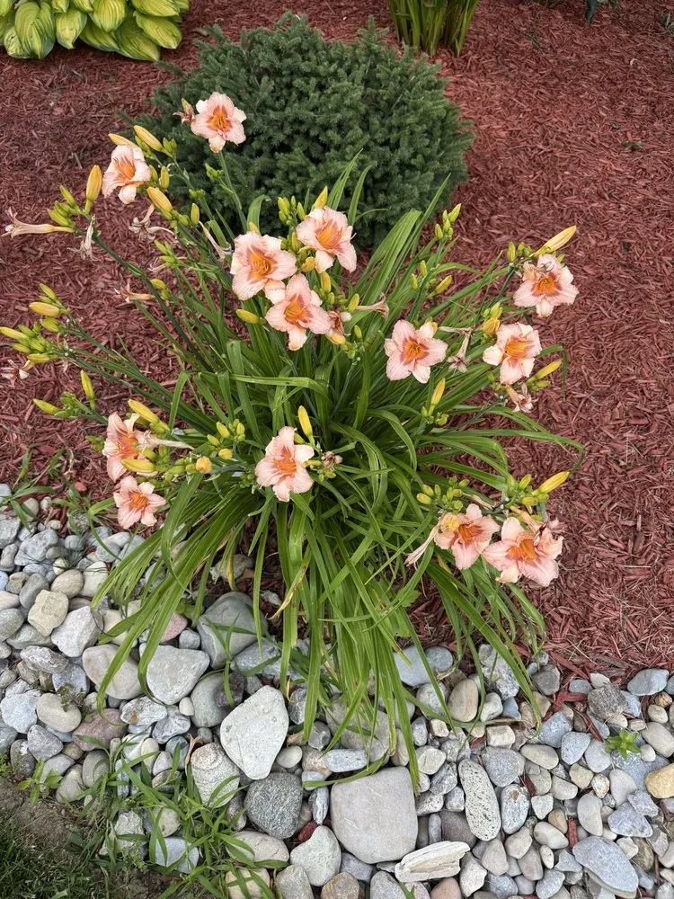 Reliable residential landscaping with custom design in Hamilton, OH by Morse Lawn & Landscape