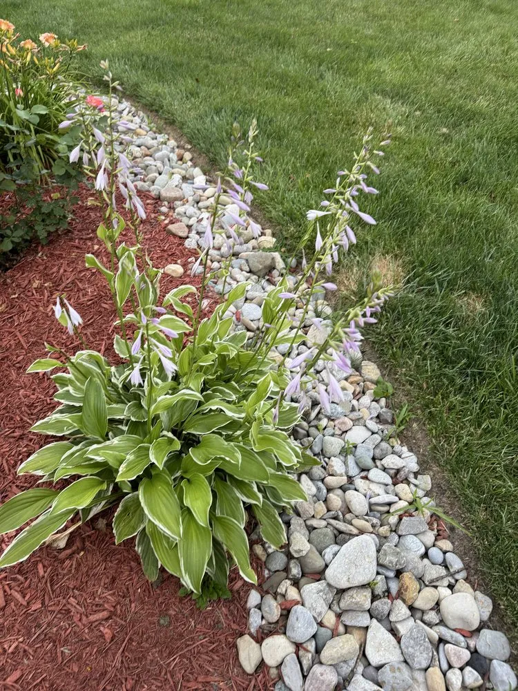 Expert yard cleanup service in Hamilton, OH by Morse Lawn & Landscape