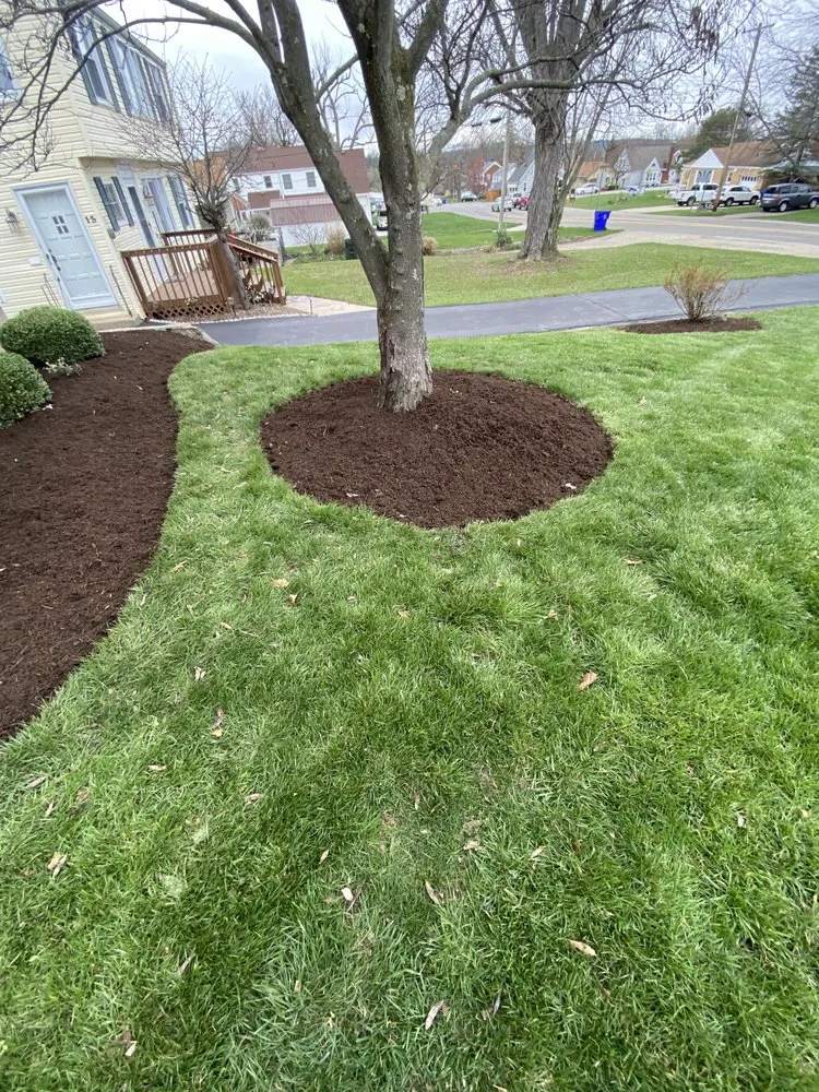 Affordable landscaping services in Hamilton, OH - Morse Lawn & Landscape
