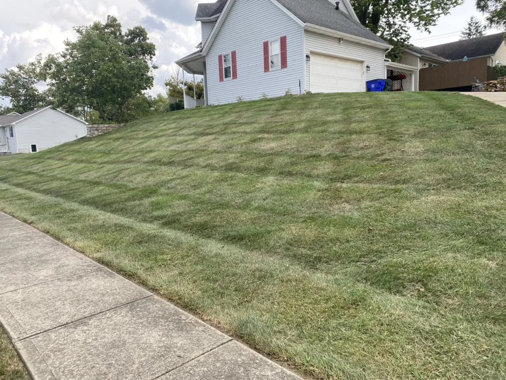 Top-rated landscape installation for homes across Hamilton, OH - Morse Lawn & Landscape