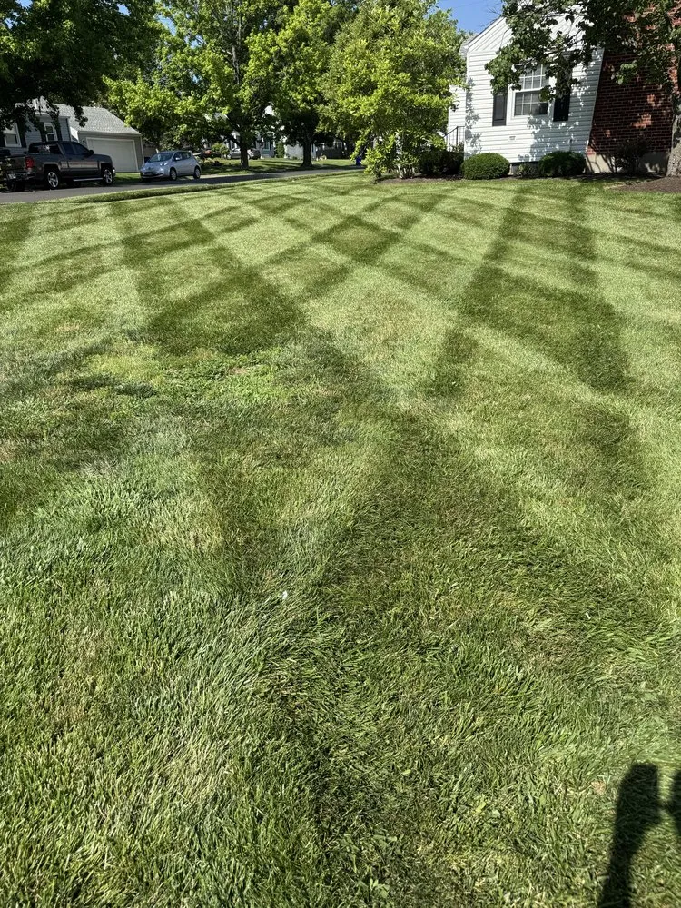 Trusted outdoor landscaping for beautiful yards across Hamilton, OH - Morse Lawn & Landscape