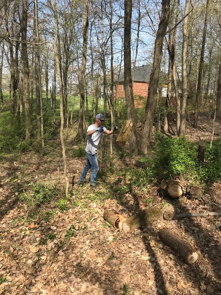 Trusted yard maintenance in Owensboro, KY by Morse Lawn Service