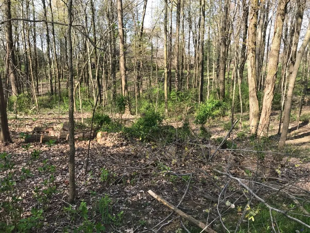 Trusted garden landscaping in Owensboro, KY - Morse Lawn Service