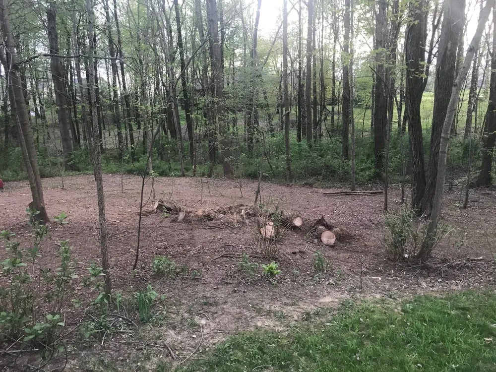 Top-rated landscape design near you in Owensboro, KY by Morse Lawn Service