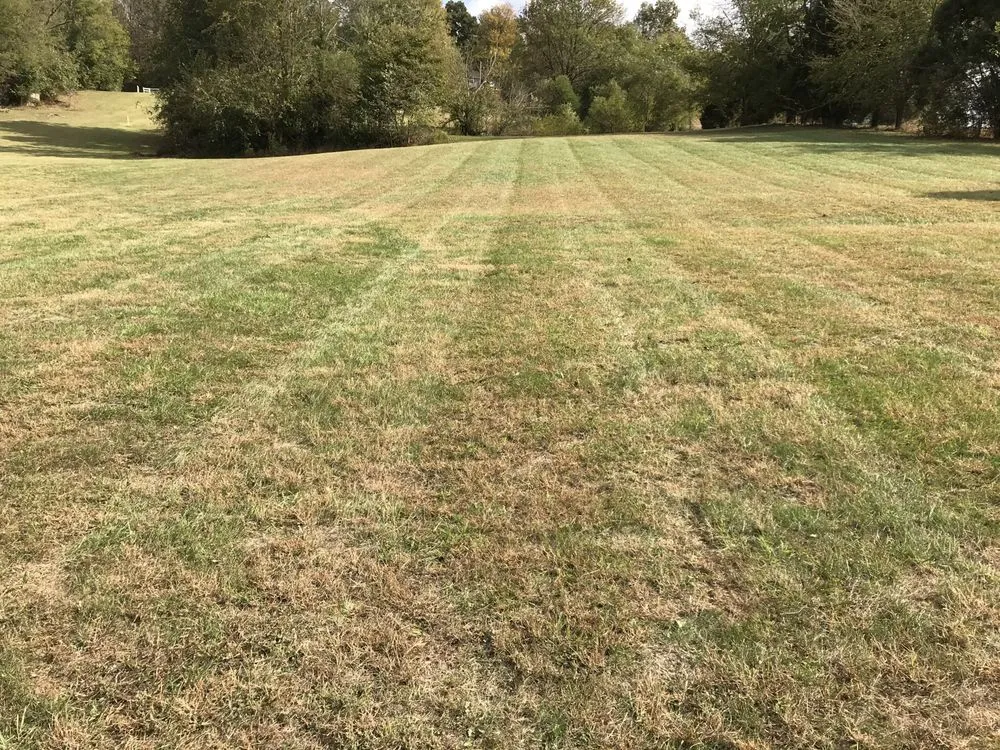 Custom residential landscaping experts serving Owensboro, KY - Morse Lawn Service