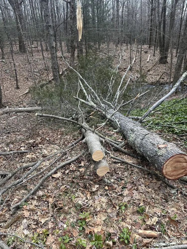 Expert garden landscaping with custom design across Woodstock, NY - Mortimer’s Mowers