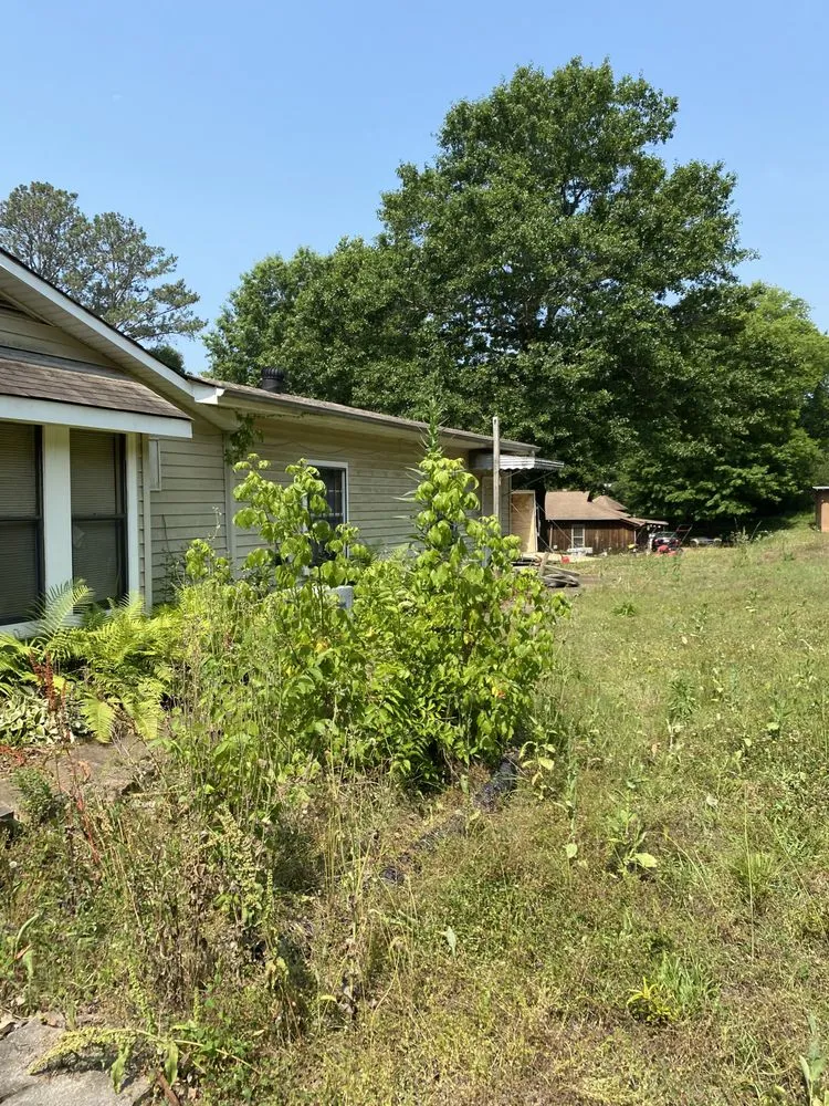 Affordable yard cleanup service near you across Birmingham, AL - Morton And Woods Lawn Care