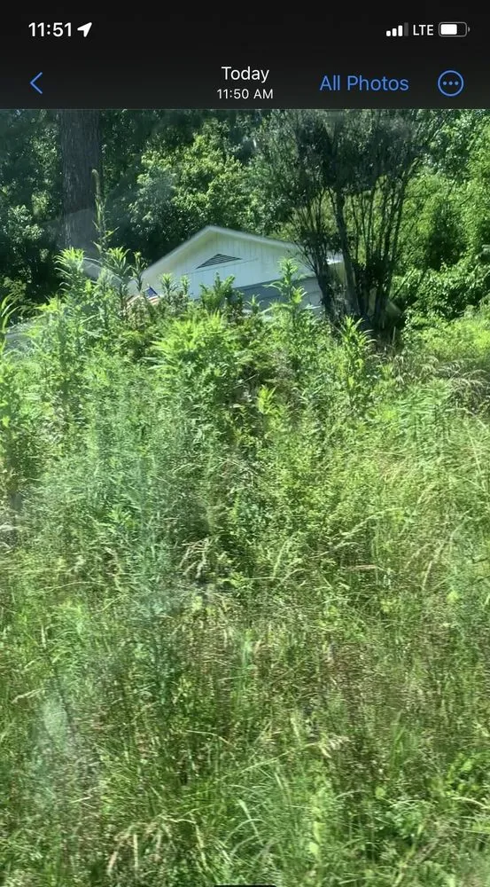 Professional residential landscaping in Birmingham, AL by Morton And Woods Lawn Care