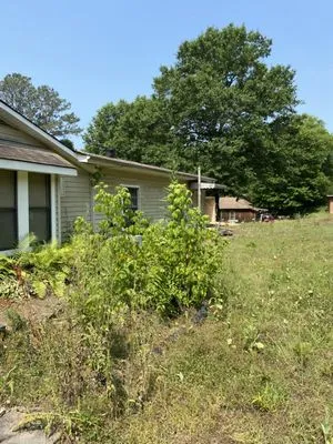 Morton And Woods Lawn Care Logo